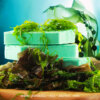 Savon aux algues marines revitalisant