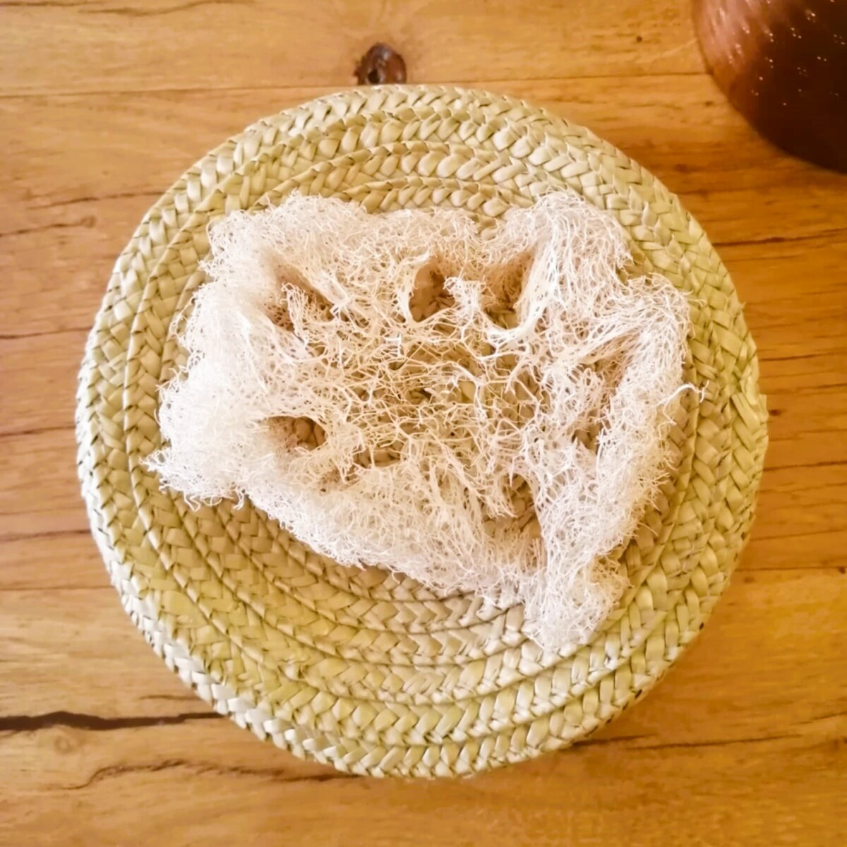 éponge loofah